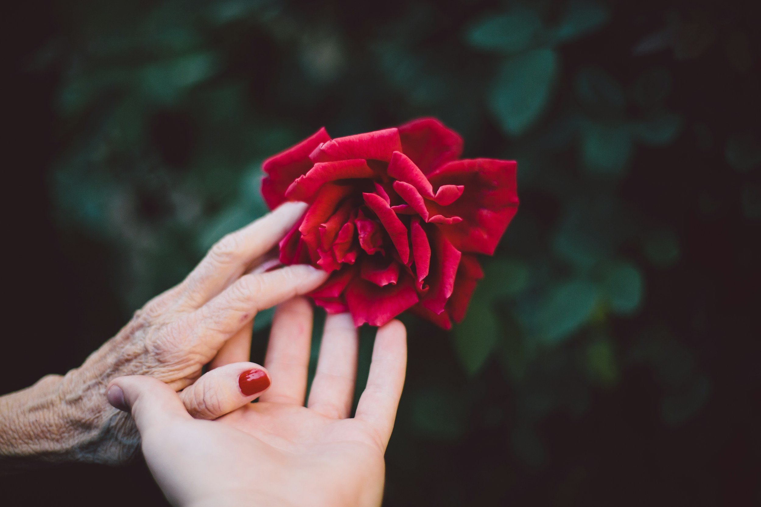 Acupuncture + Women’s Health: Menstruation, Pregnancy, Menopause & All of the In-Between